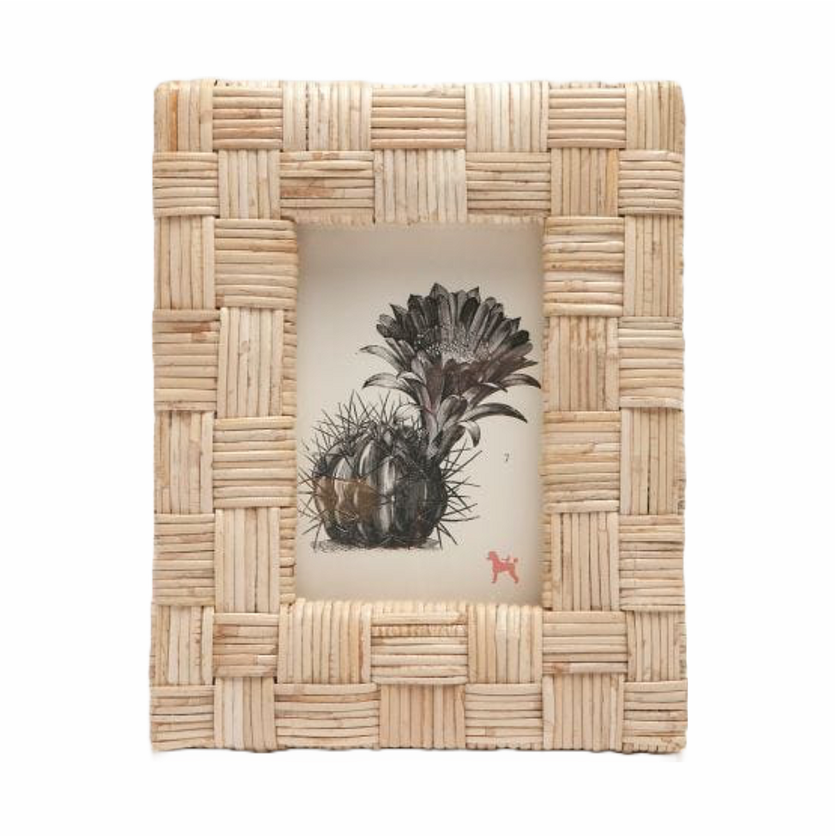 Grasse Natural Cane Frame