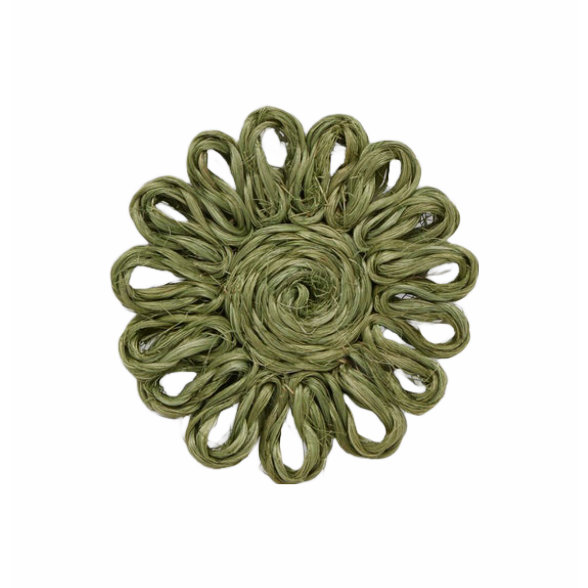 Teigan Abaca Floral Coaster Boxed Set of 4 - Olive