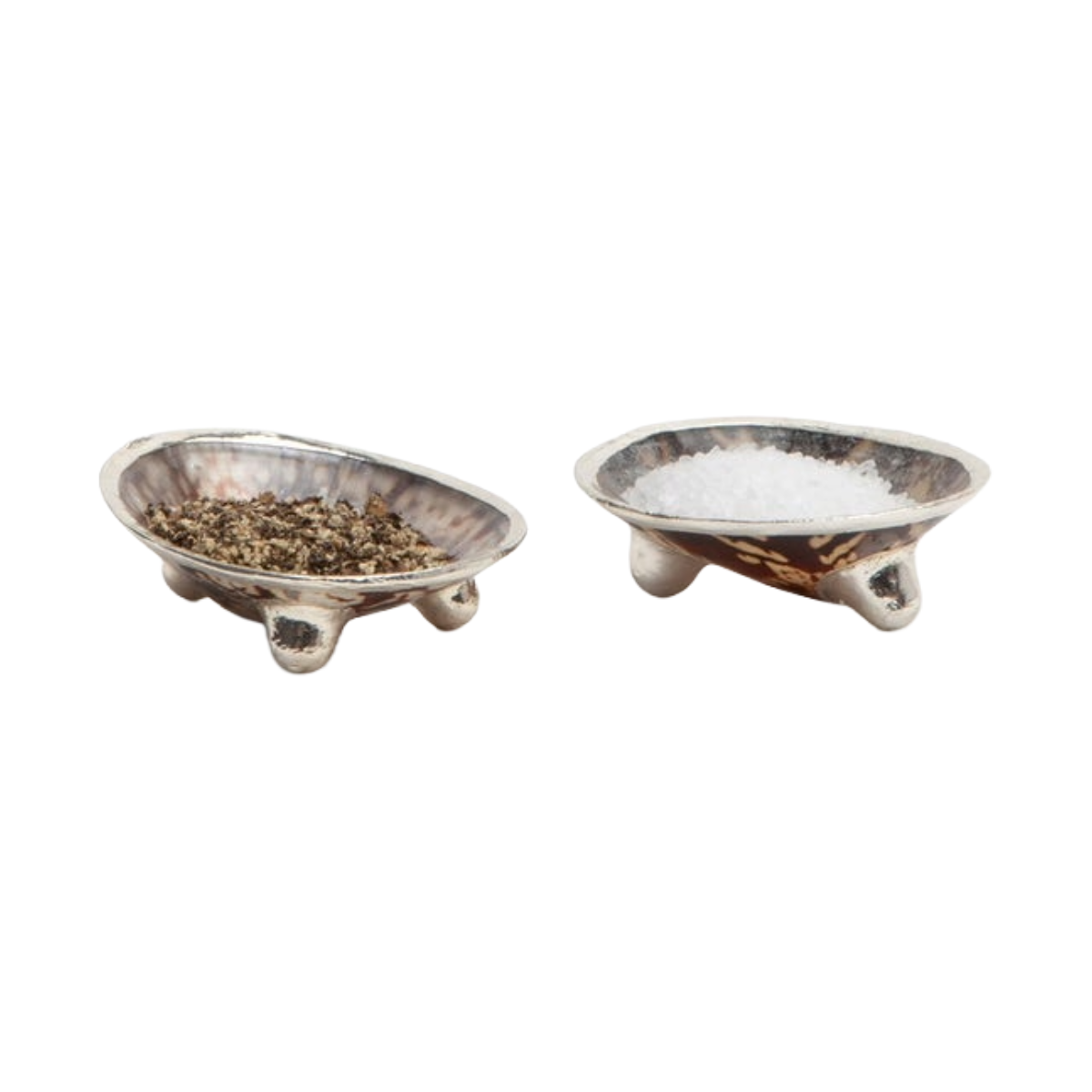 Penelope Limpet Shell Salt & Pepper