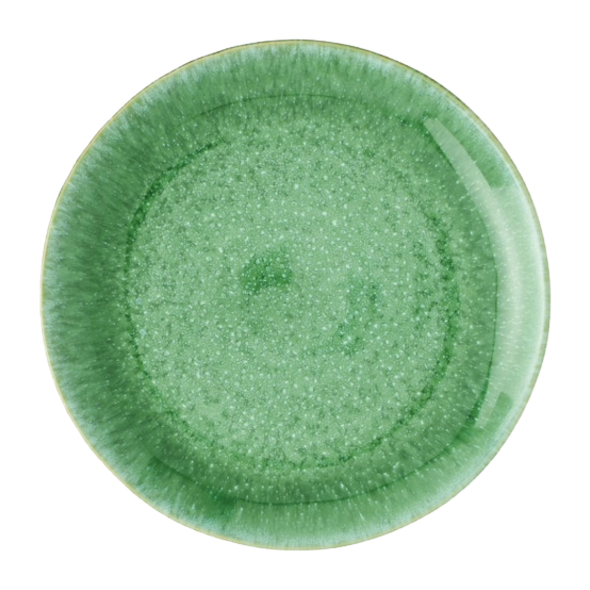 Eloise Reactive Emerald Dinner Plate Set of 4