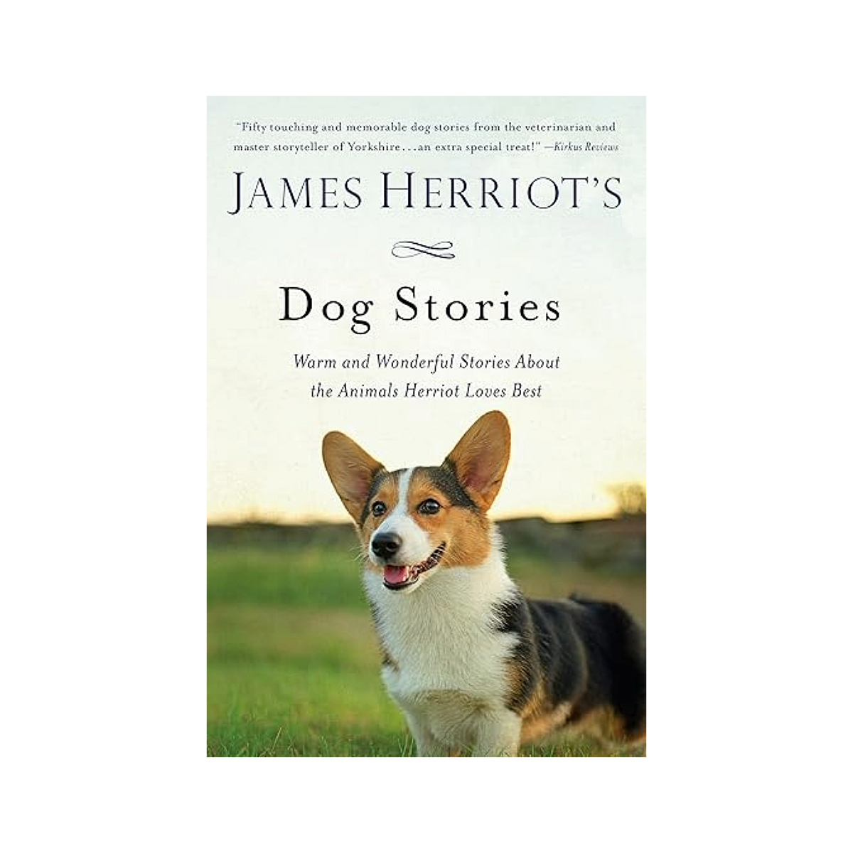 James Herriot's Warm And Wonderful Dog Stories