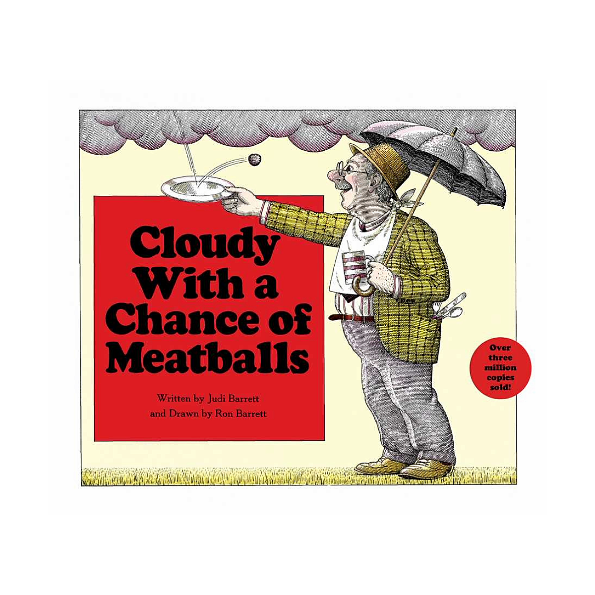 Cloudy With a Chance of Meatballs