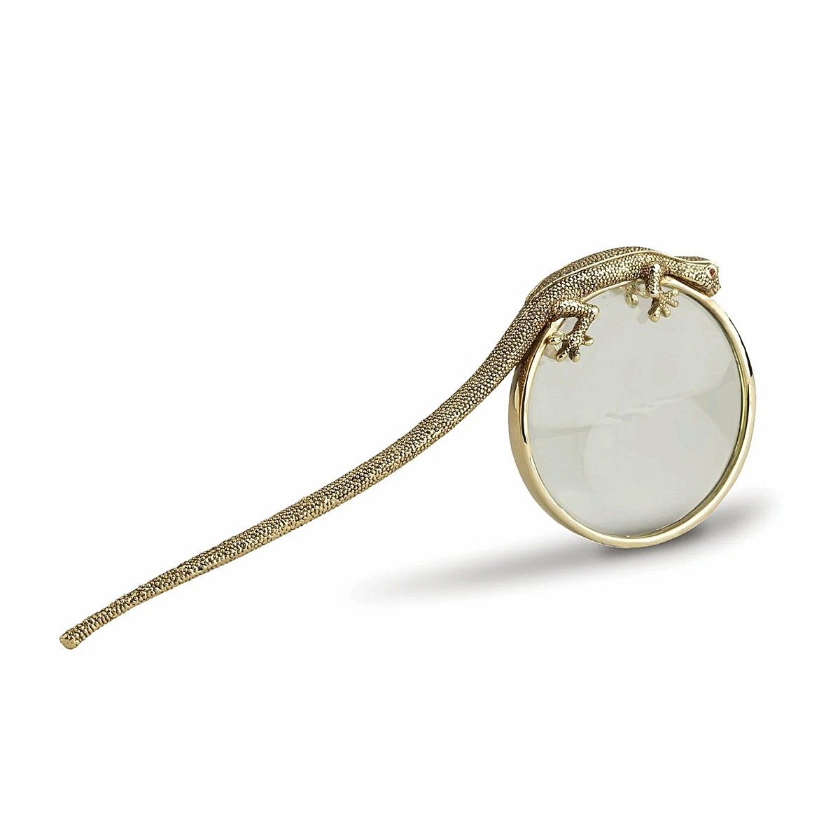 Gecko Magnifying Glass