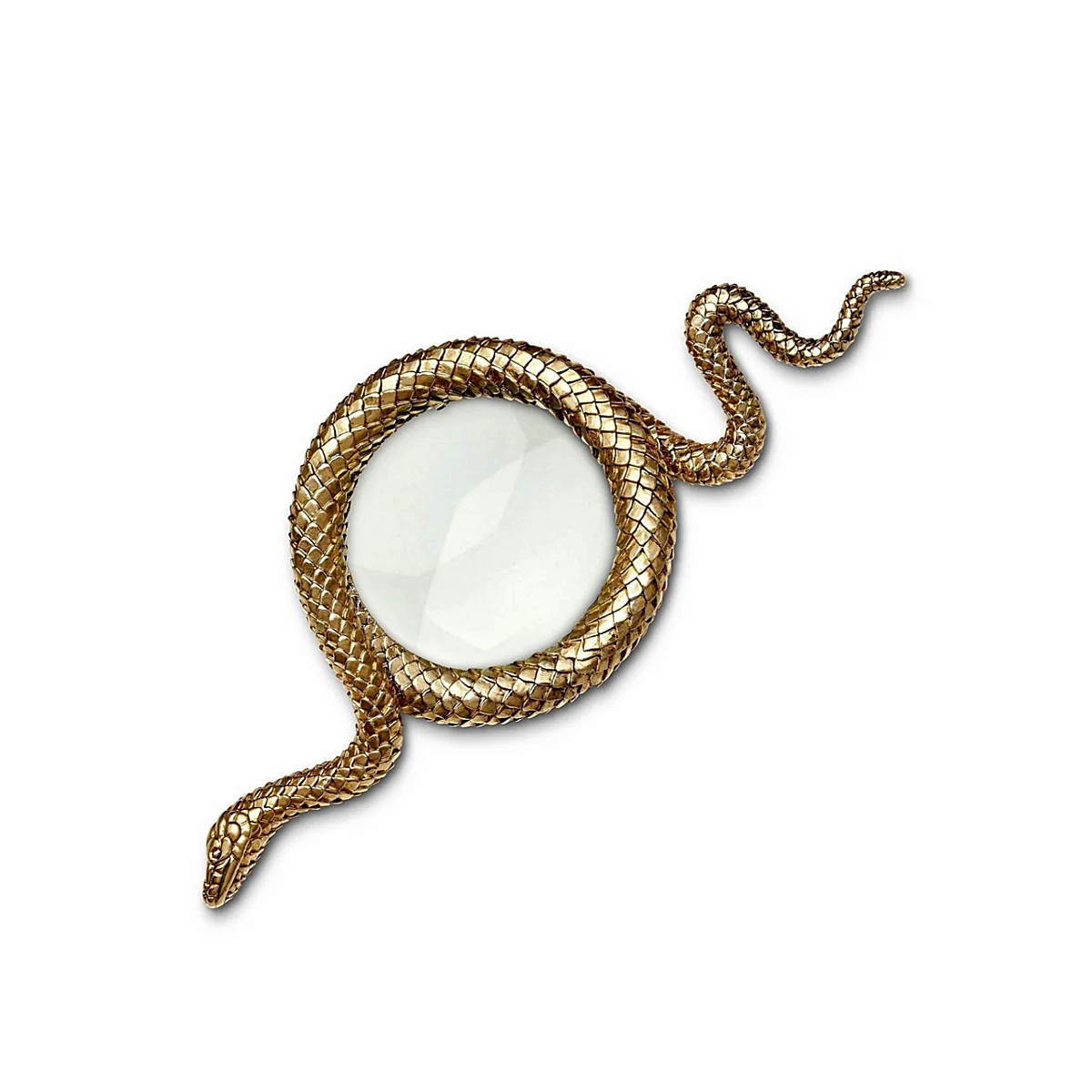 Snake Magnifying Glass - Small