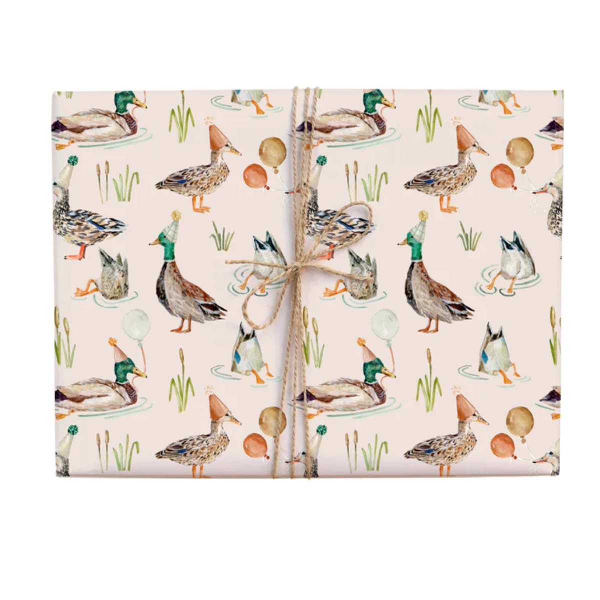 Birthday Duck Gift Wrap Roll