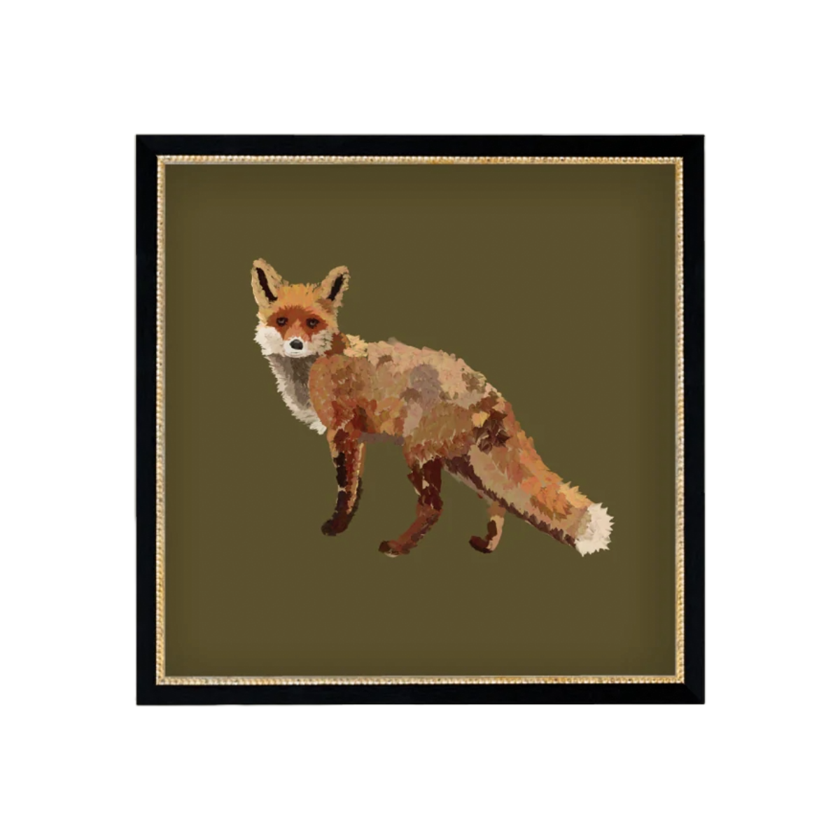 Fox Closeup