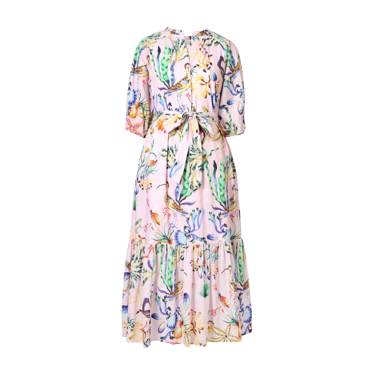 Saylor Dress - Conch