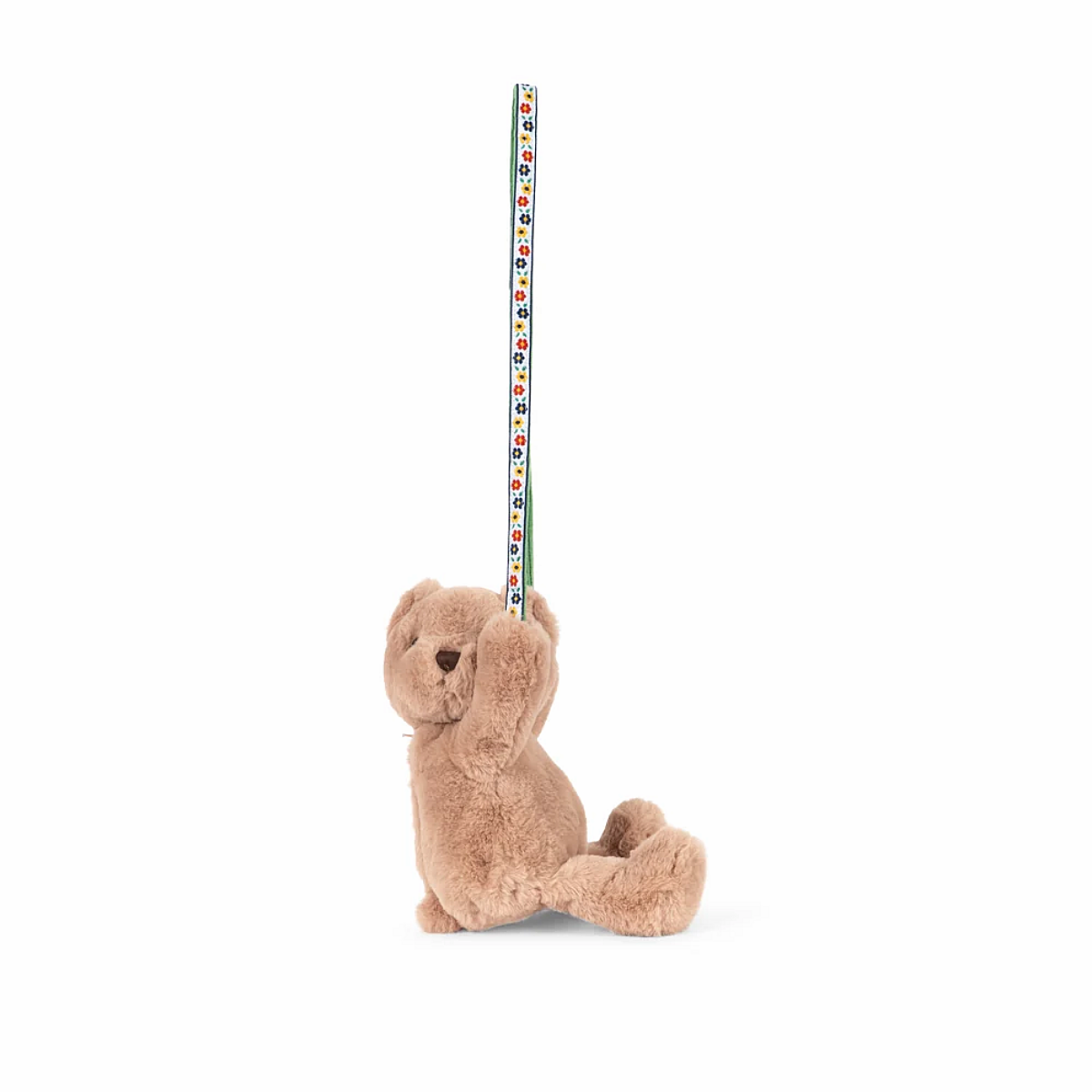 Teddy Bag
