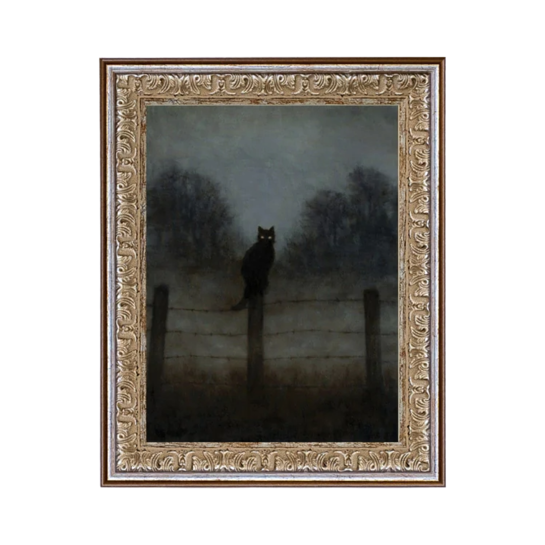 Black Cat in the Night