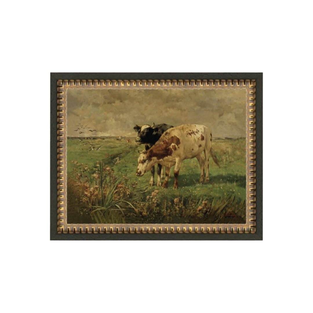 Black and Brown Cows