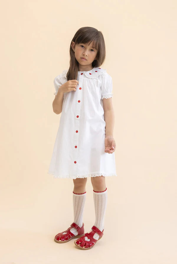 Aja Dress - White