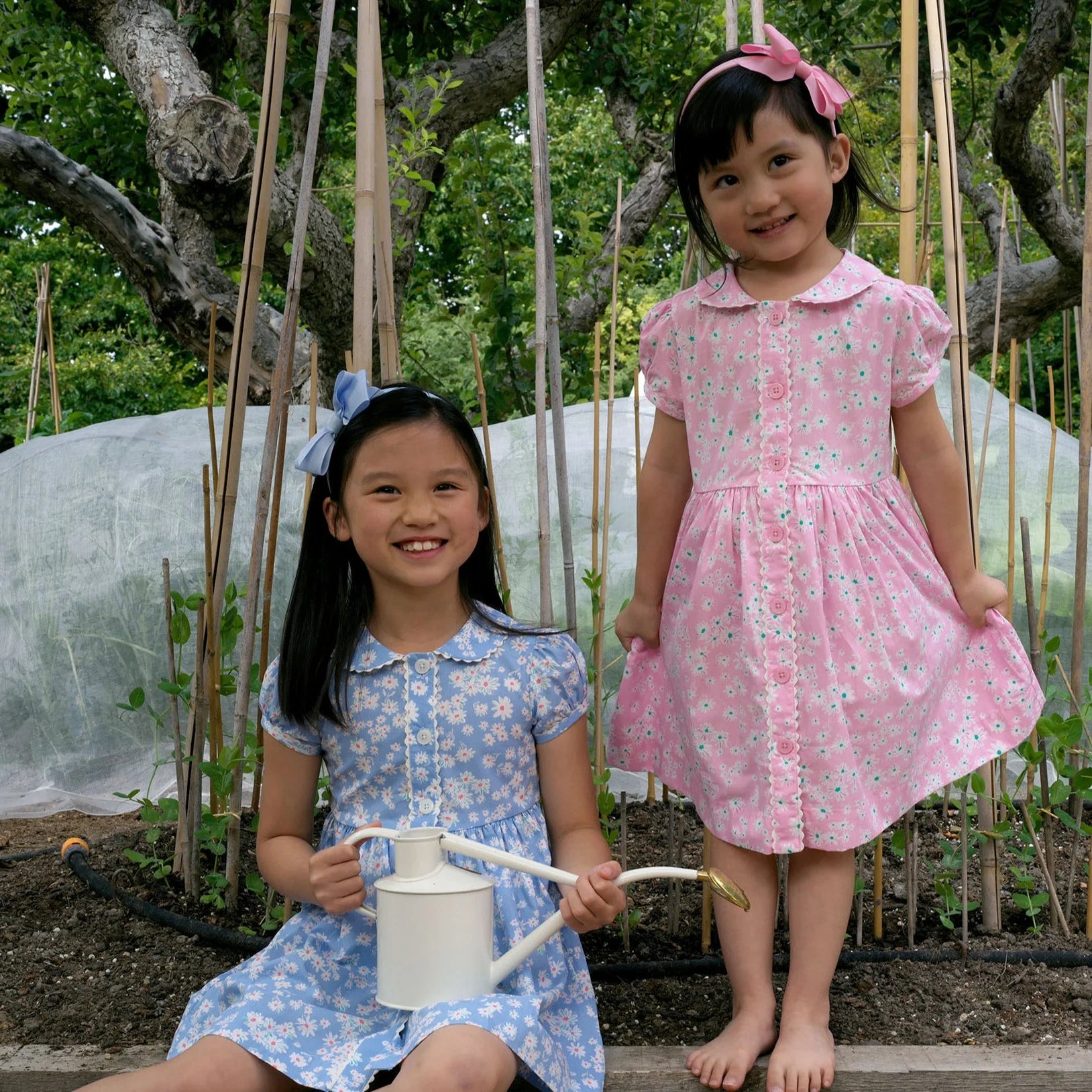 Blue Daisy Button-Front Dress