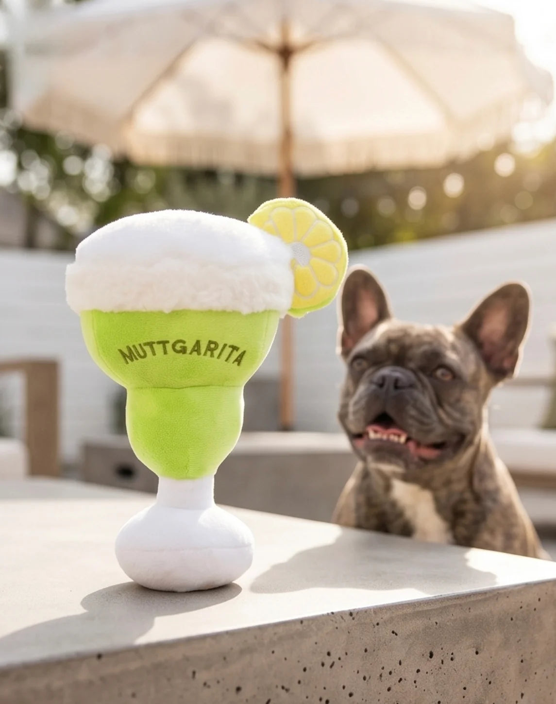 Muttgarita Squeaker Dog Toy