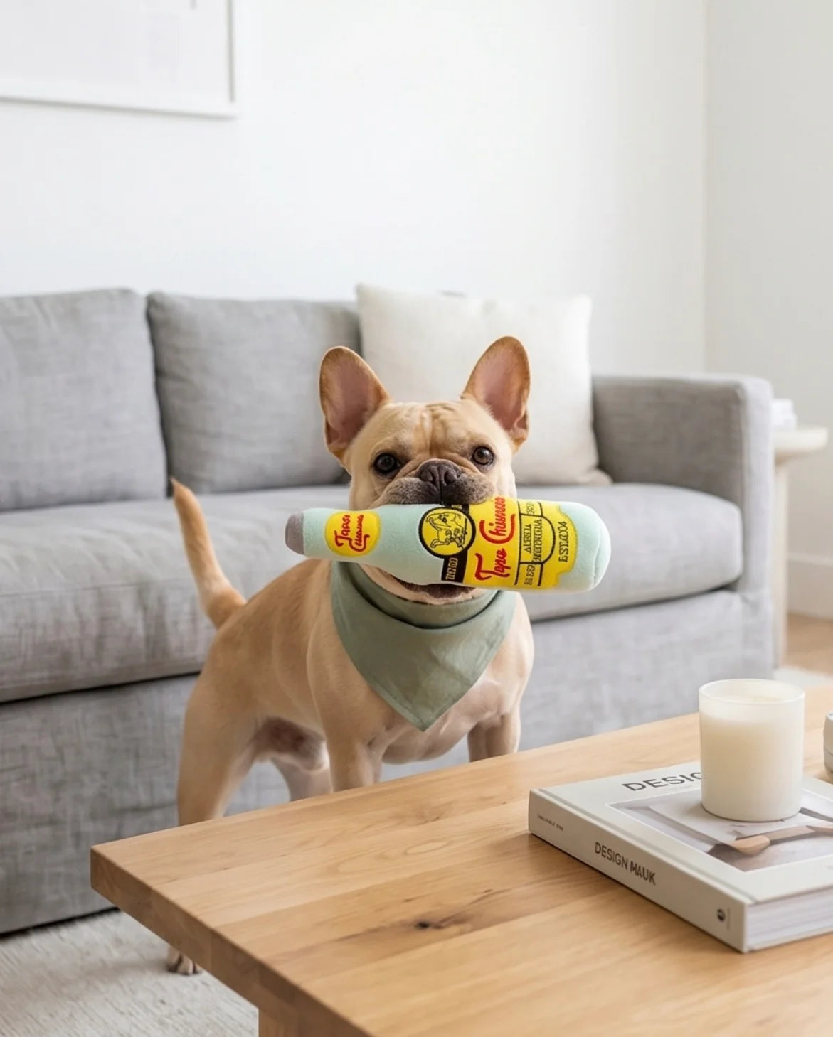 Topo Chiwawa Squeaker Dog Toy