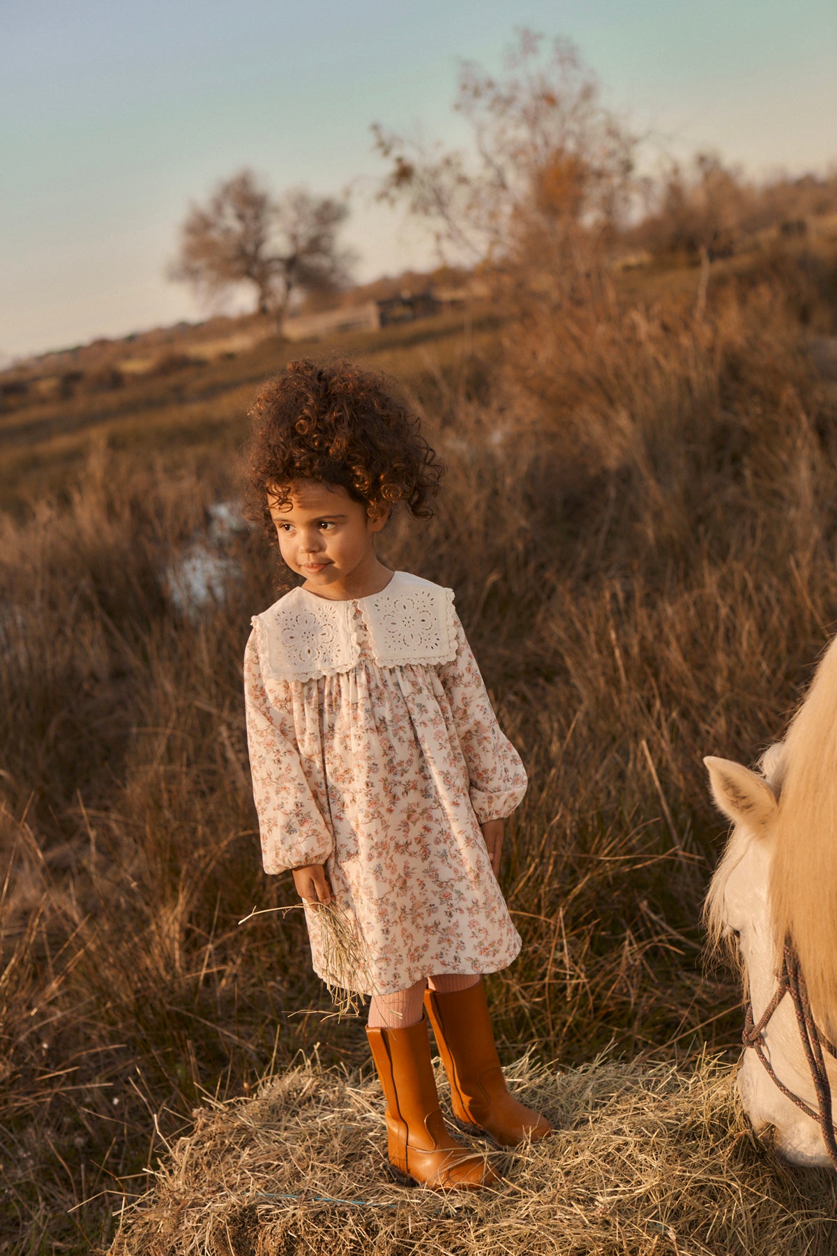 Dress Arinola