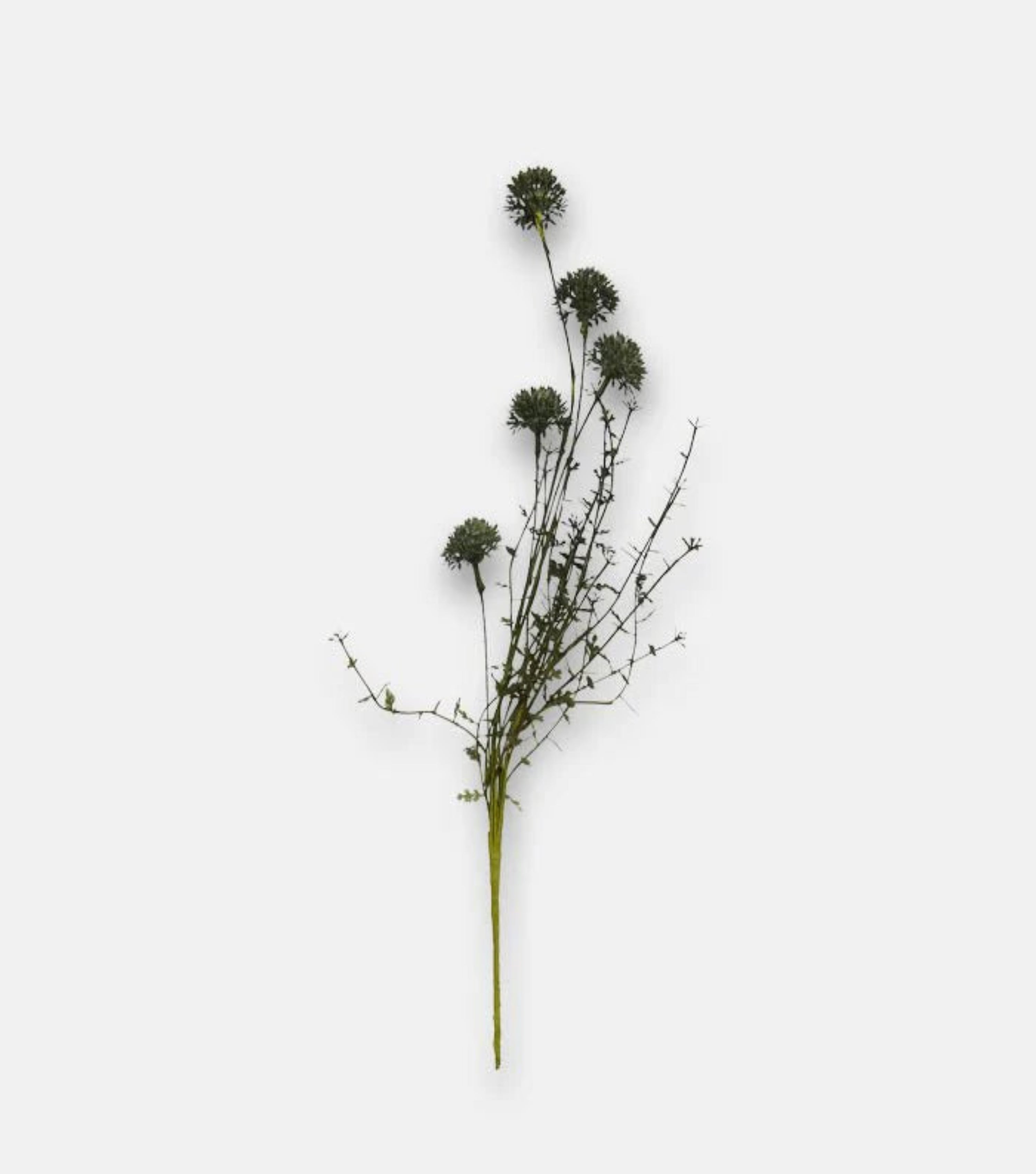 Artificial Melaleuca - Dusk