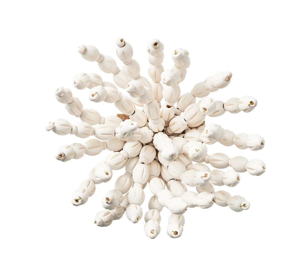 Reed Napkin Ring Set/4 - White