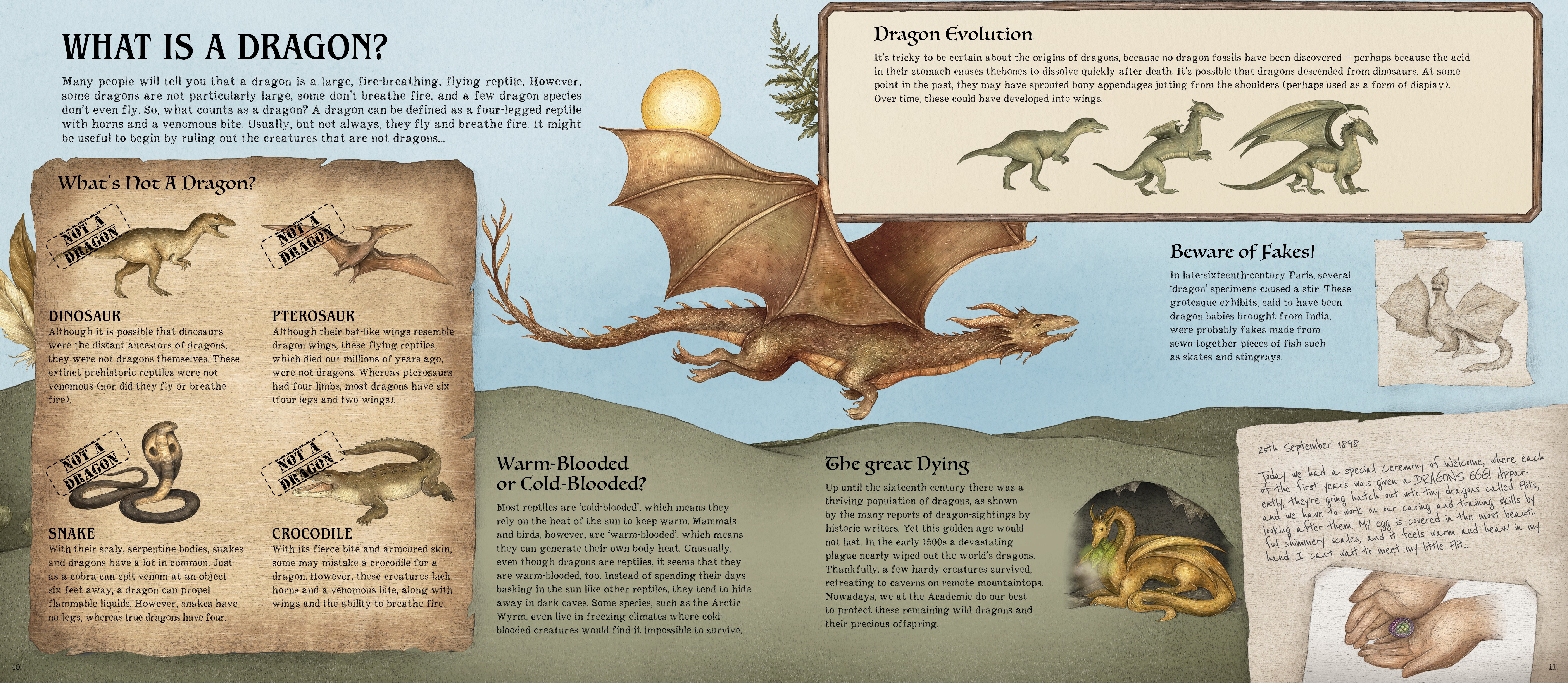 A Natural History of Dragons