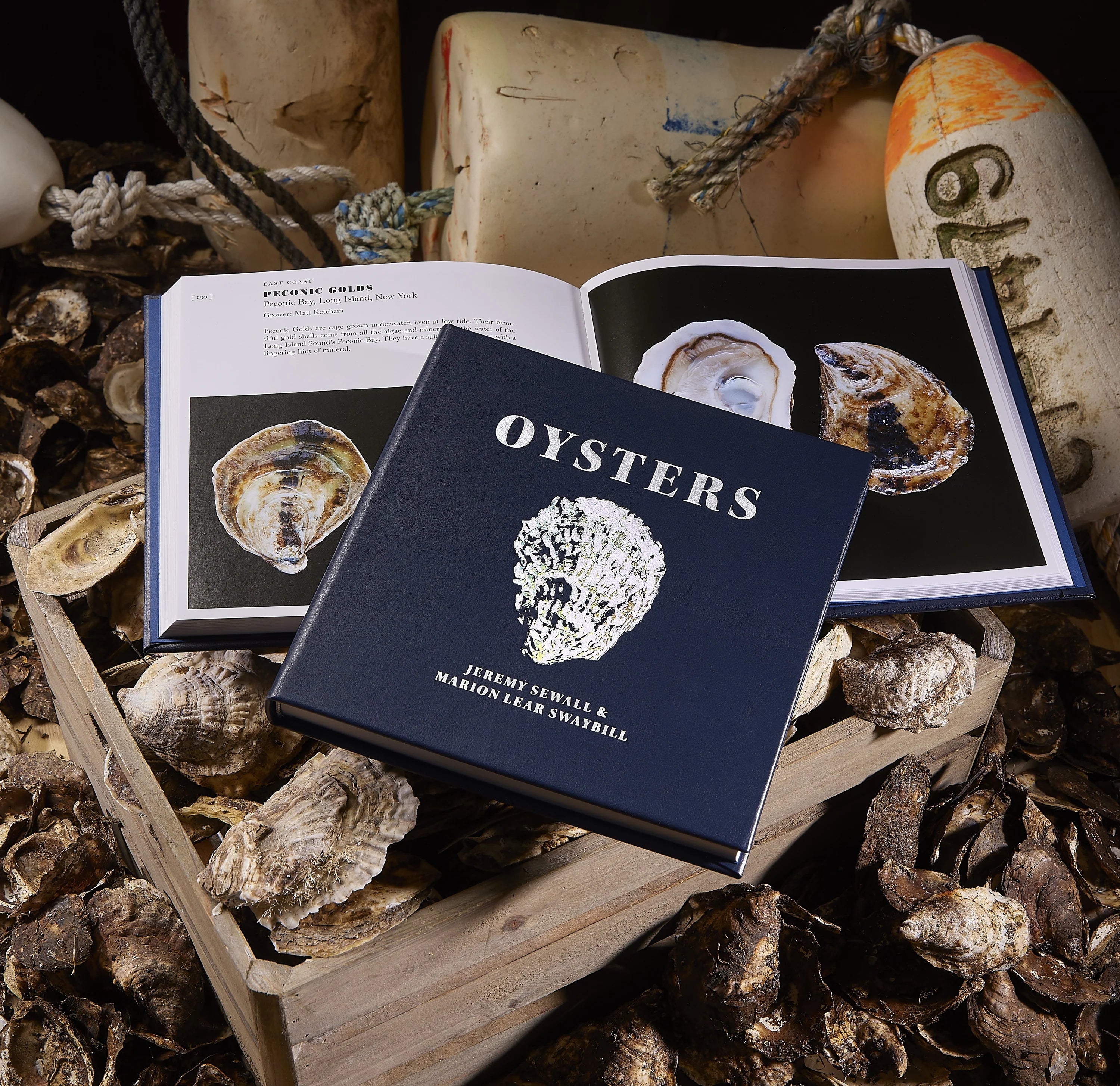 Oysters - Navy Leather