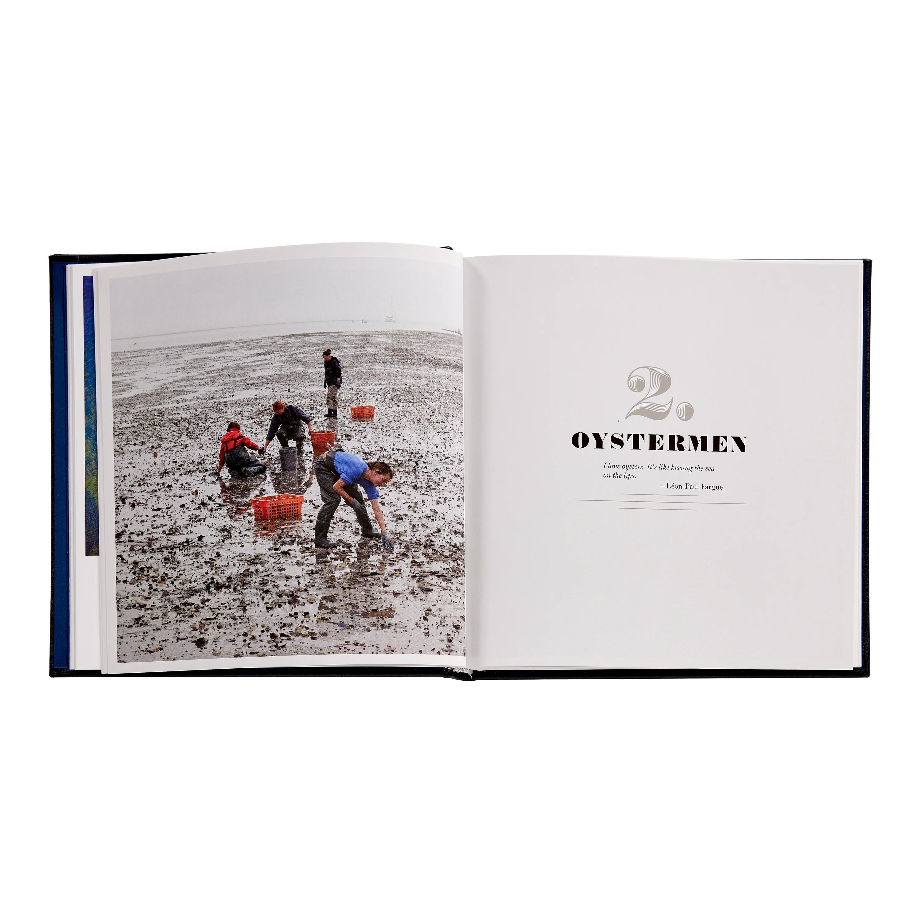 Oysters - Navy Leather
