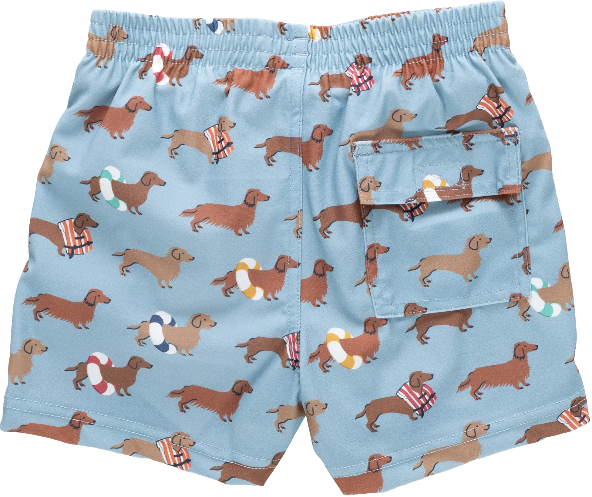 Swim Trunk - Swim Dachshunds