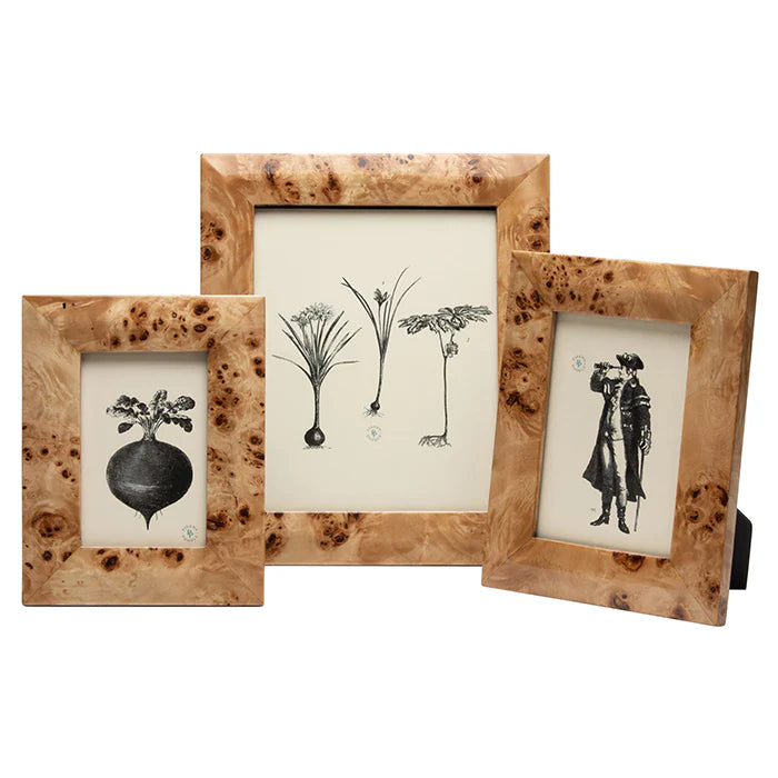 Narvik Burl Frame - Maple