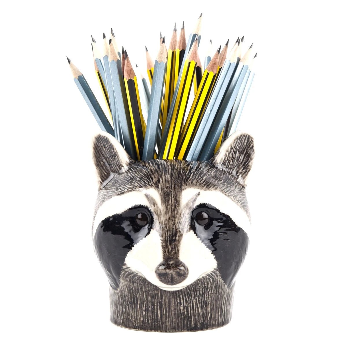 Raccoon Pencil Pot