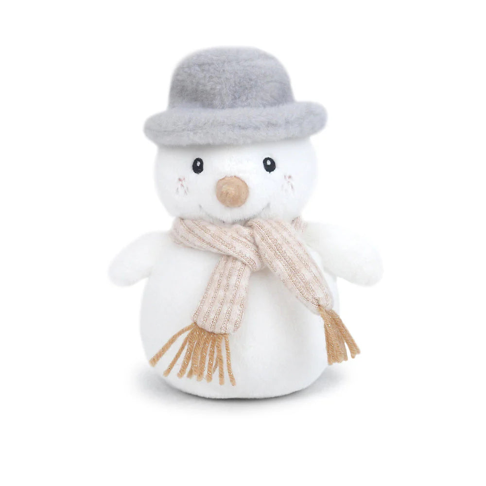 'Mr.Chill' Snowman
