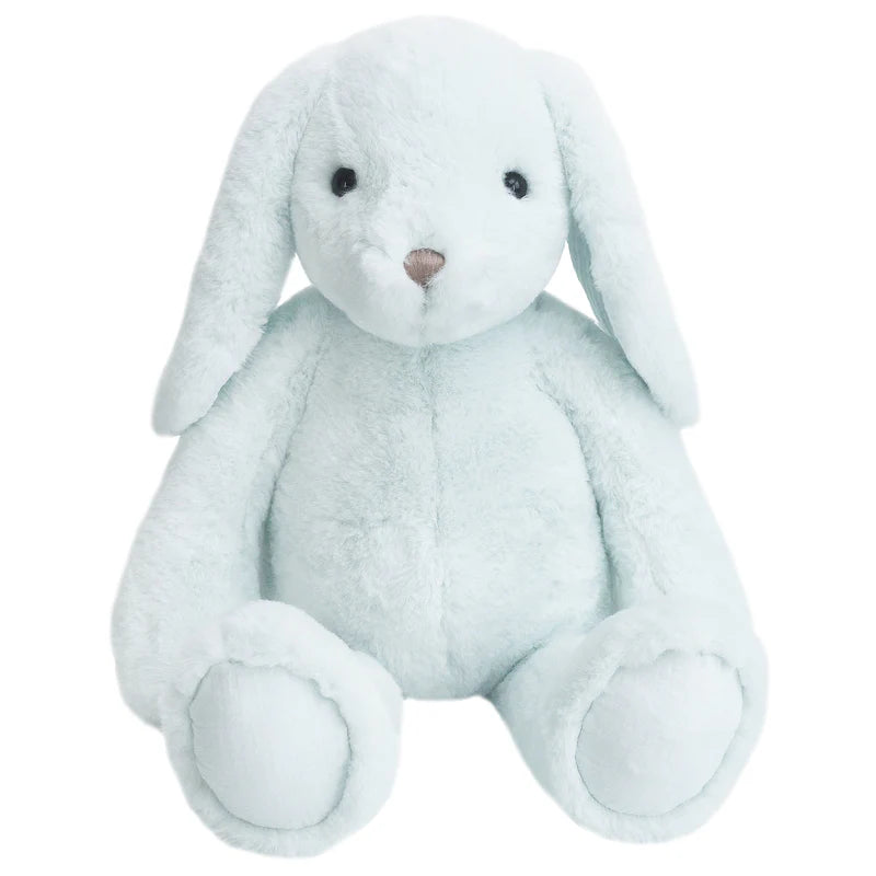 'Abbott' Blue Bunny
