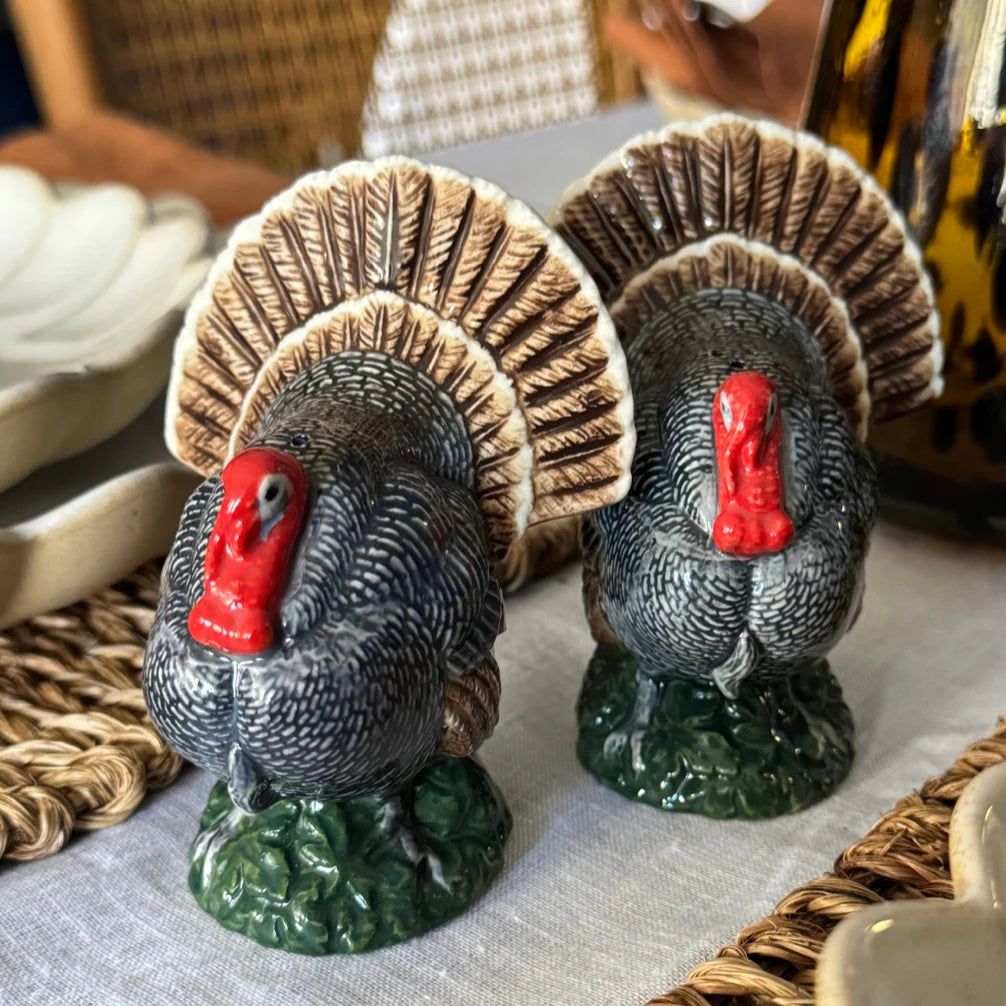 Turkey Salt & Pepper Set