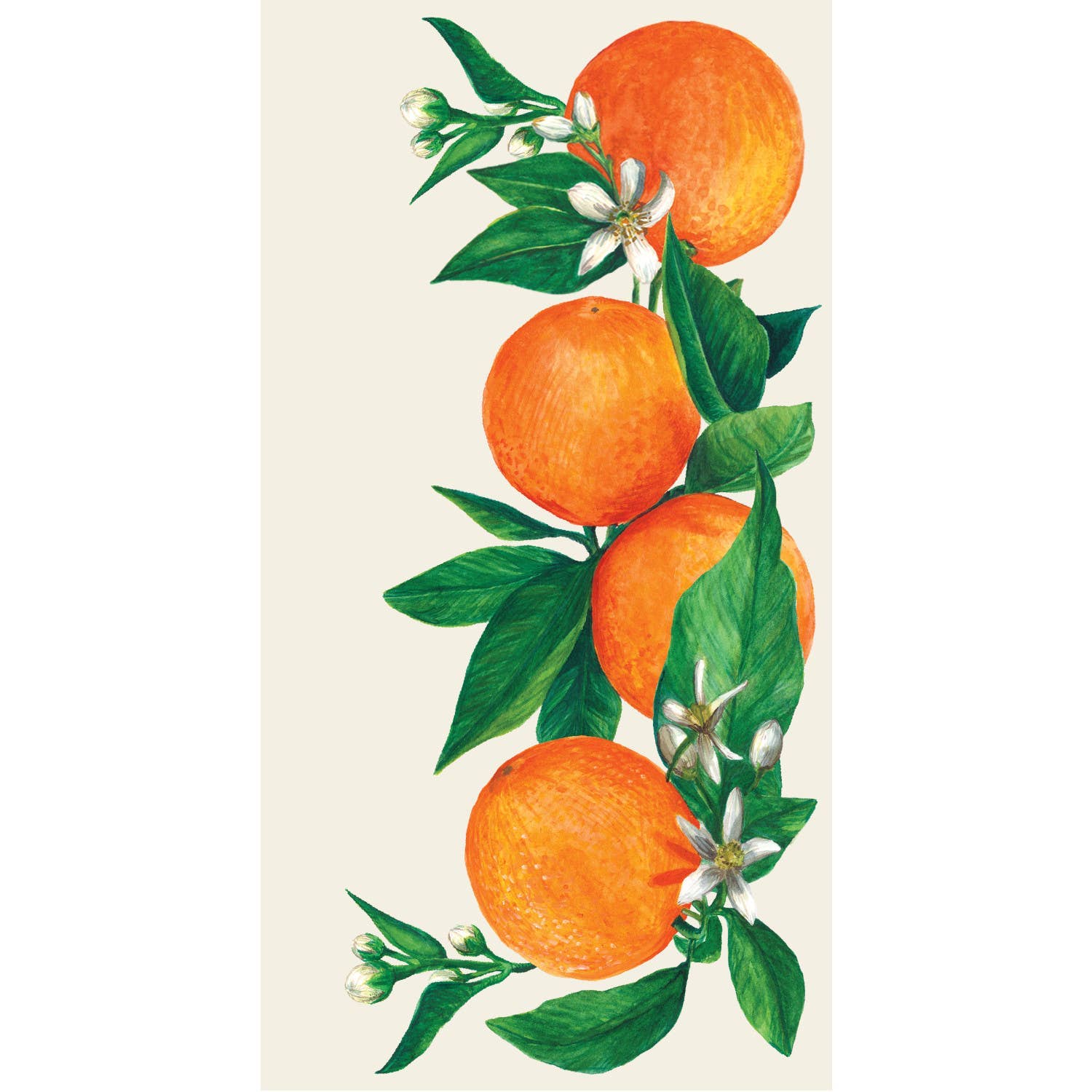 Hester & Cook - Stationery - Orange Orchard Guest Napkin - Pack Of 16