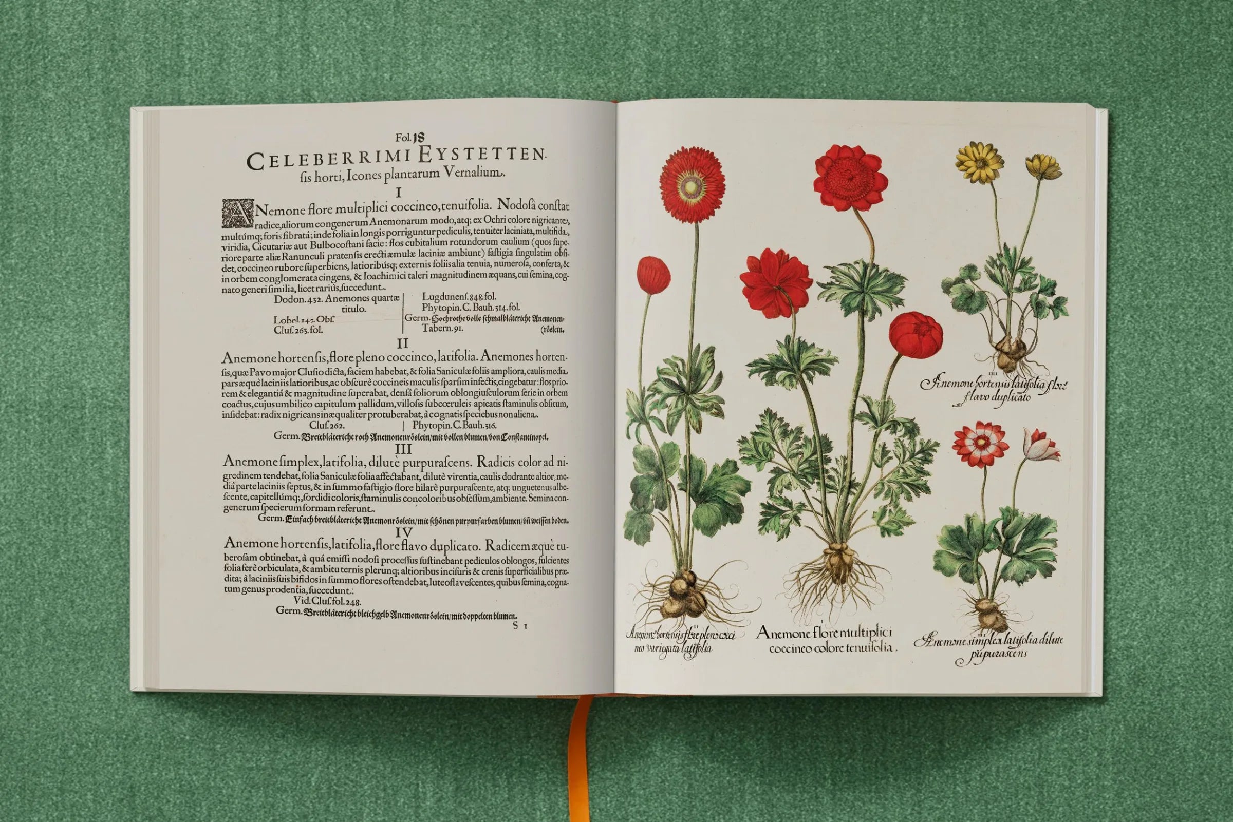 Basilius Besler. The Garden at Eichstätt