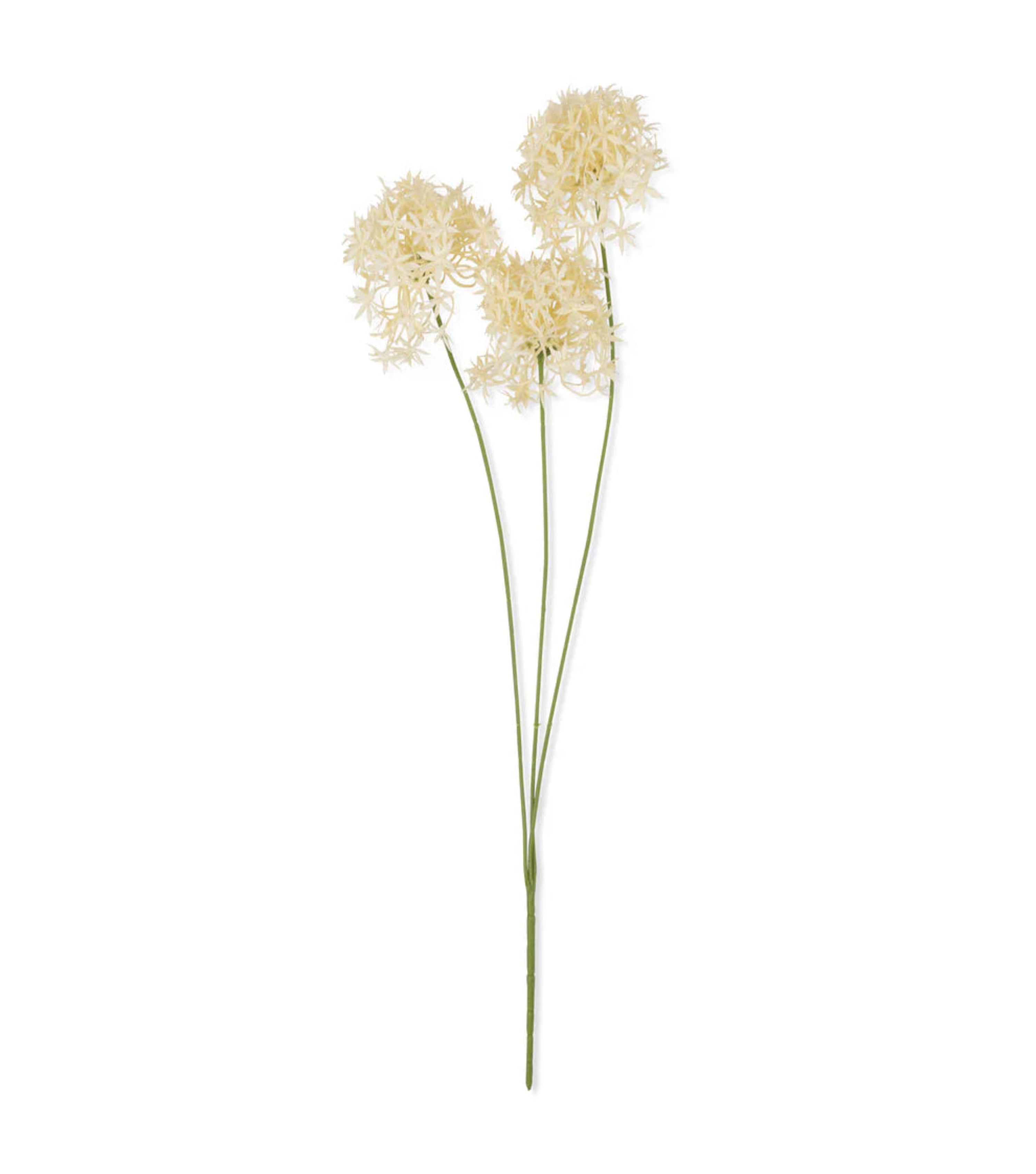 Artificial Allium Bunch - Cream