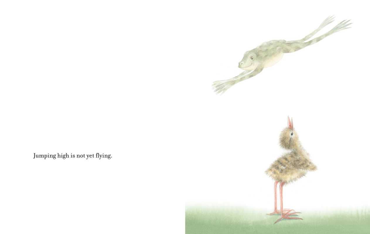 Simon & Schuster - For Those Who Want to Fly by Pirkko Vainio: Hardcover; 50 pages / English