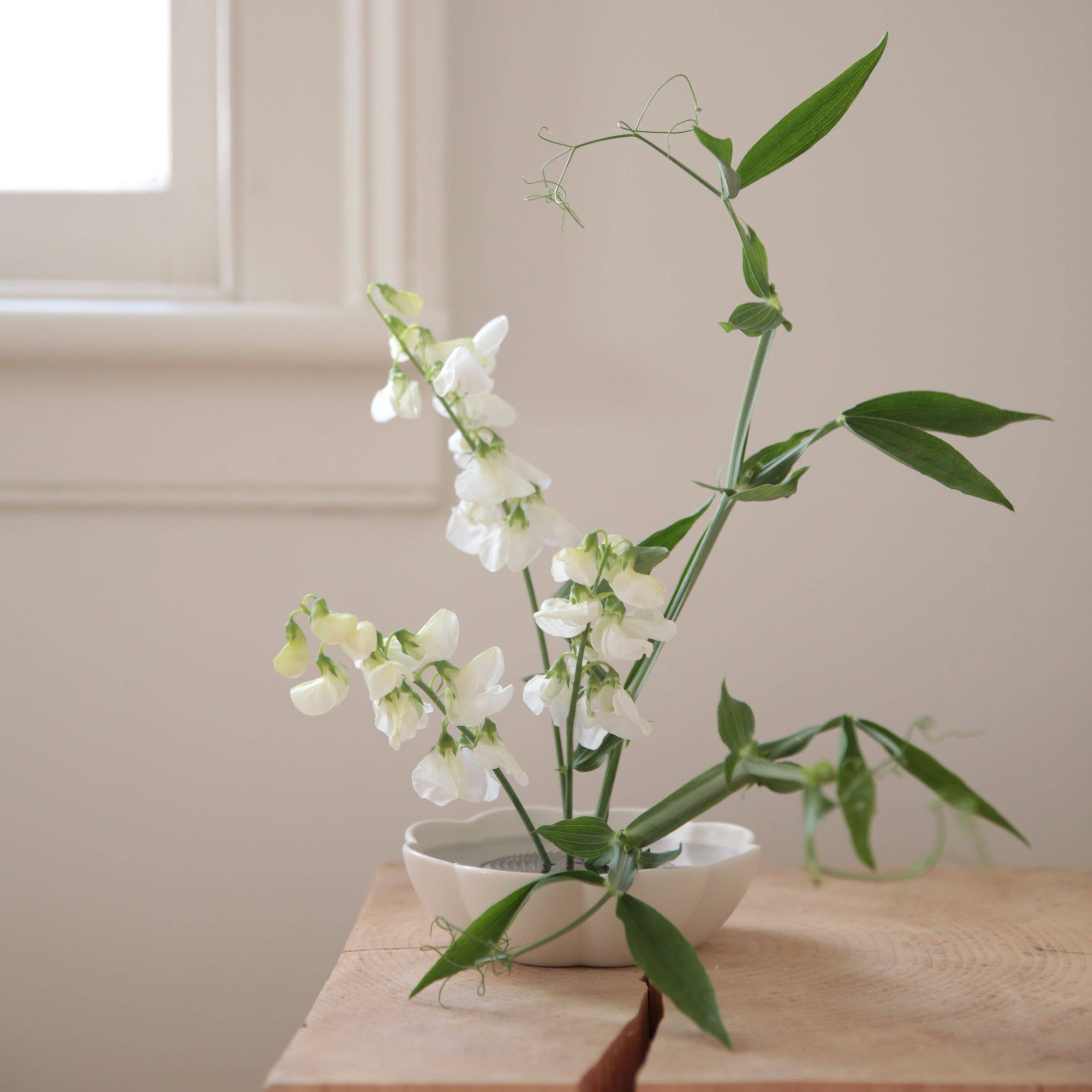 The Floral Society - Fleur Dish