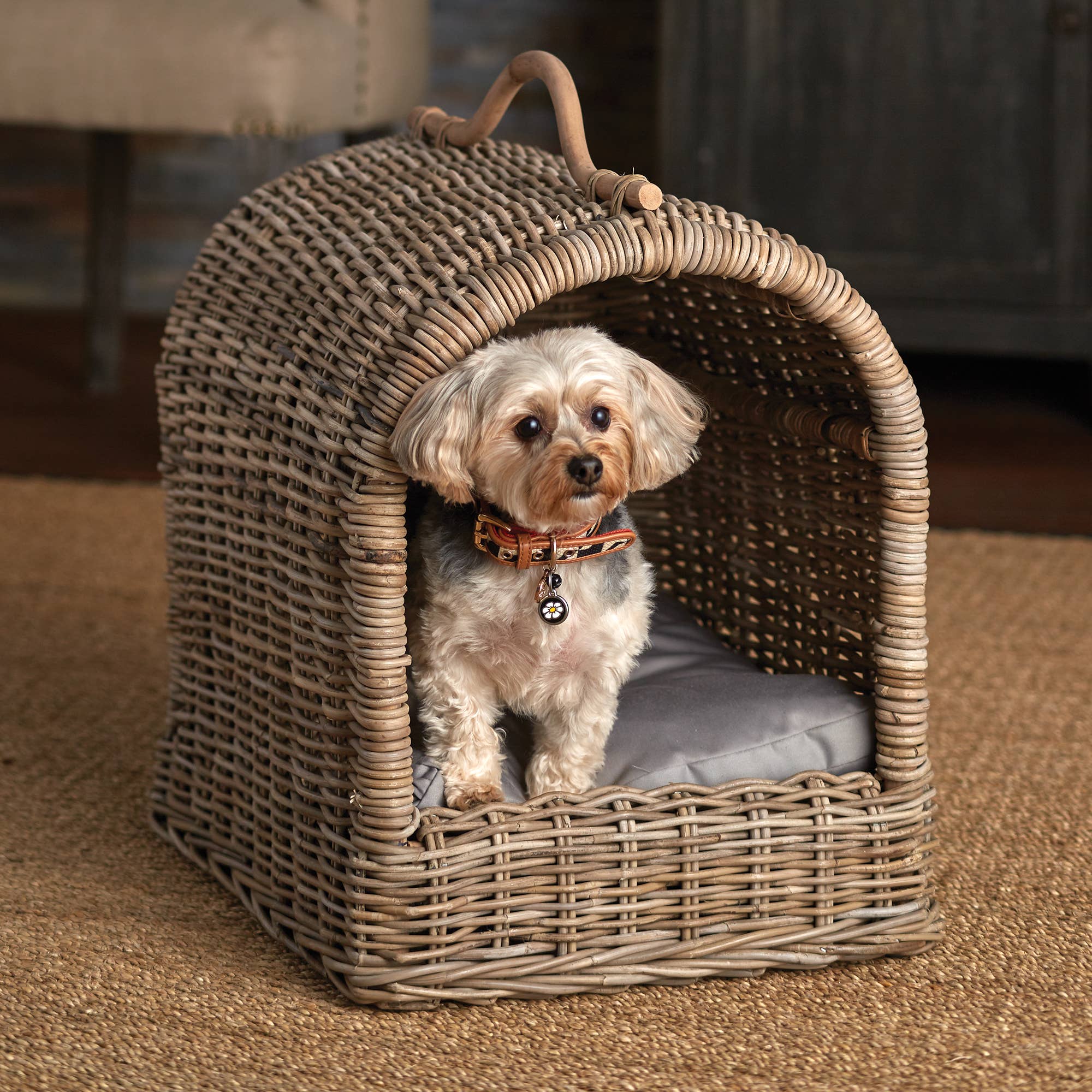 Napa Home & Garden - Normandy Rattan Canopy Pet Bed