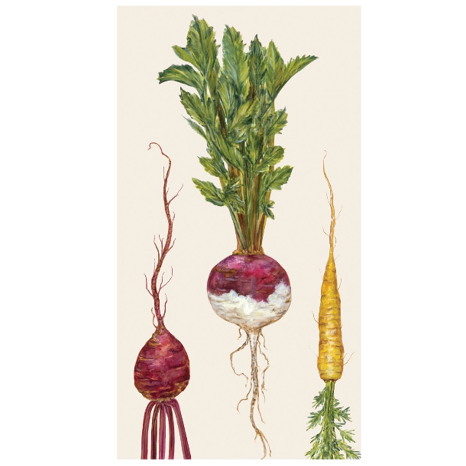 Hester & Cook - Stationery - Farmers' Market Guest Napkin - Pack Of 16