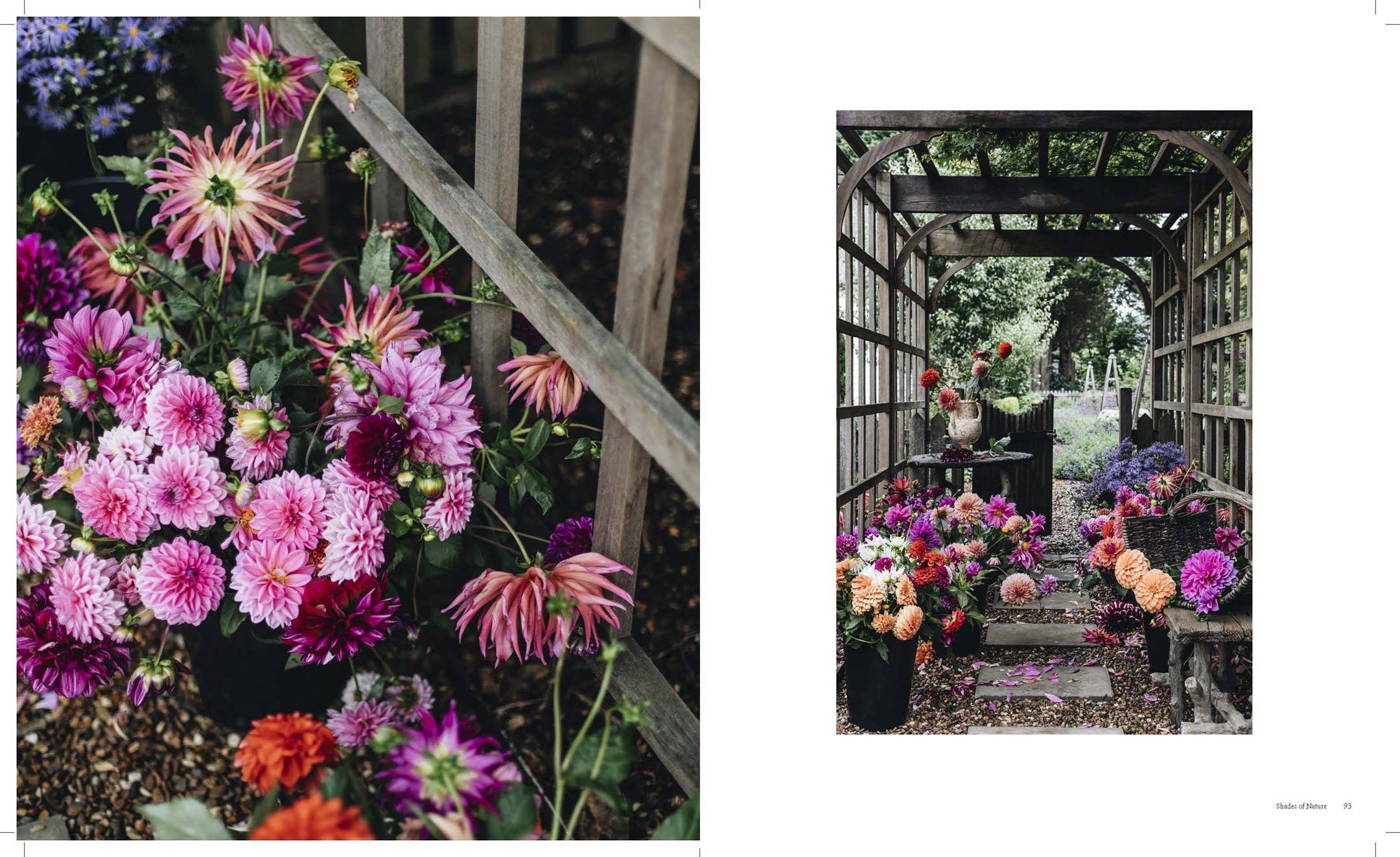 Chronicle Books - The Nature of Decorating