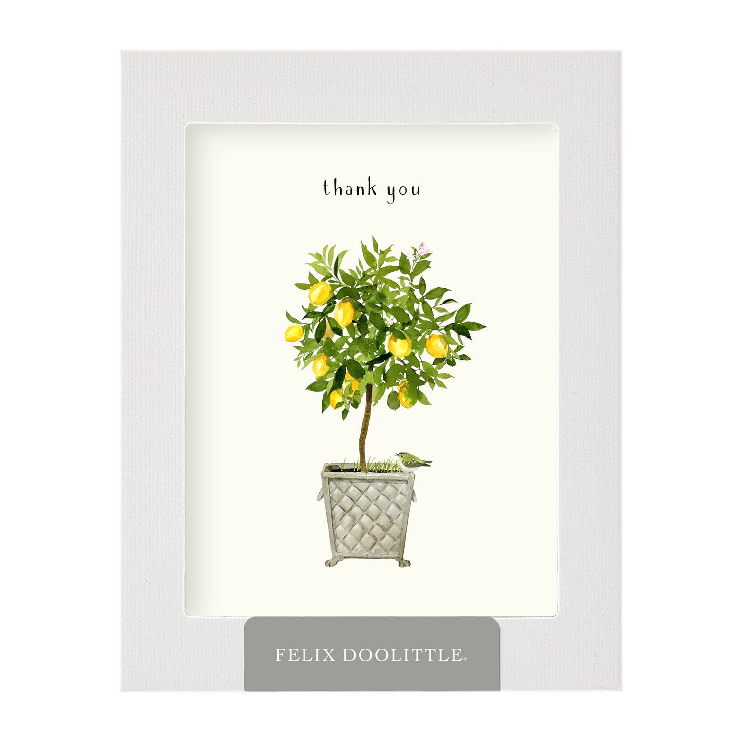 Felix Doolittle - Lemon Topiary - Thank You Card