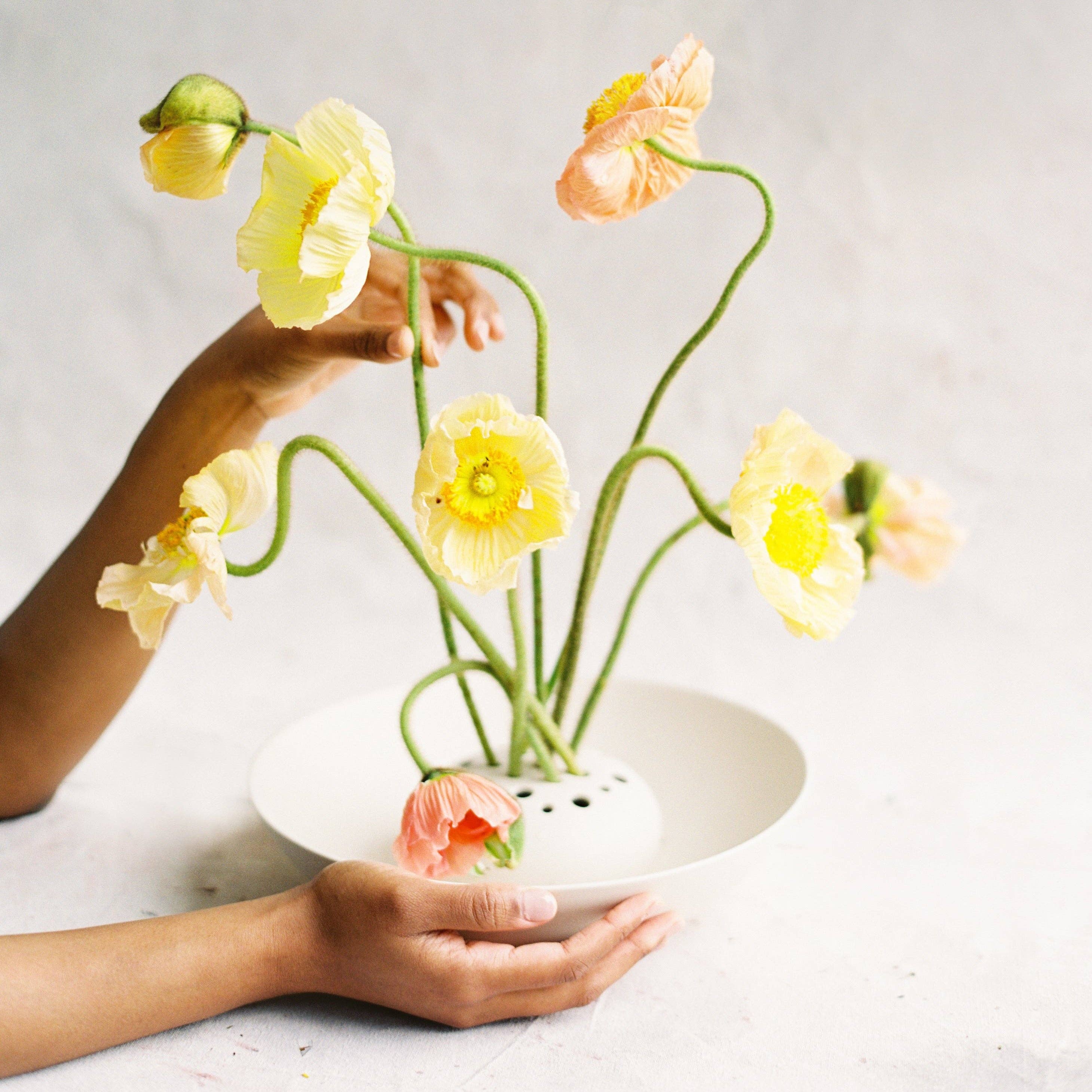 The Floral Society - Flower Frog Bowl Vase