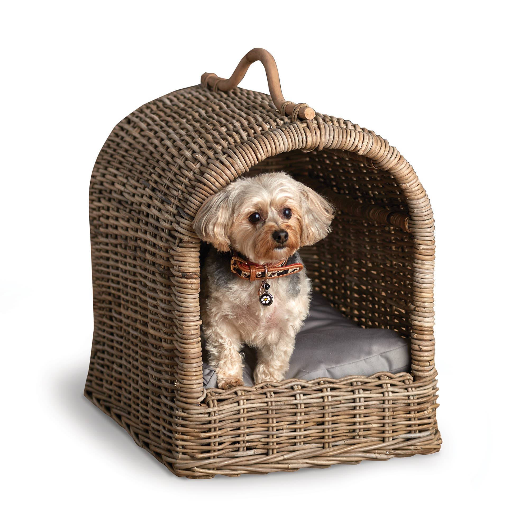 Napa Home & Garden - Normandy Rattan Canopy Pet Bed