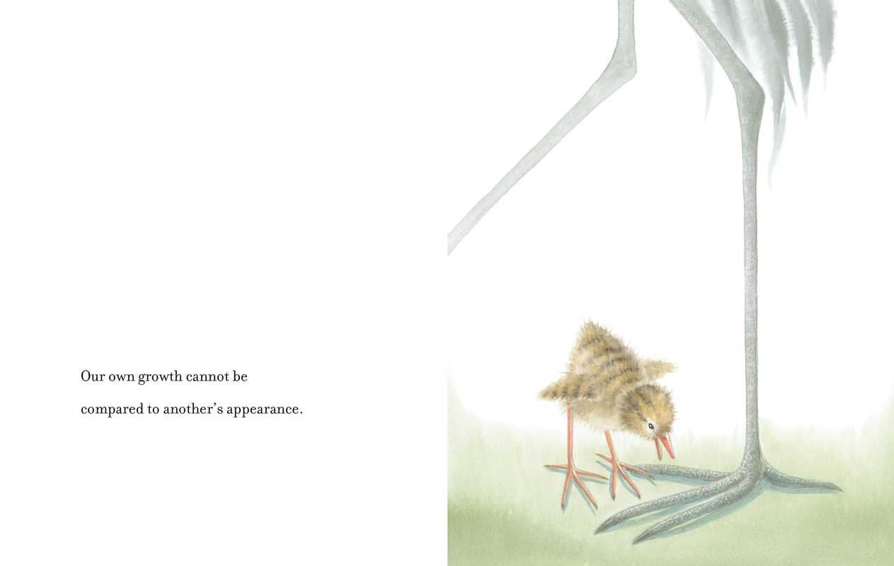 Simon & Schuster - For Those Who Want to Fly by Pirkko Vainio: Hardcover; 50 pages / English