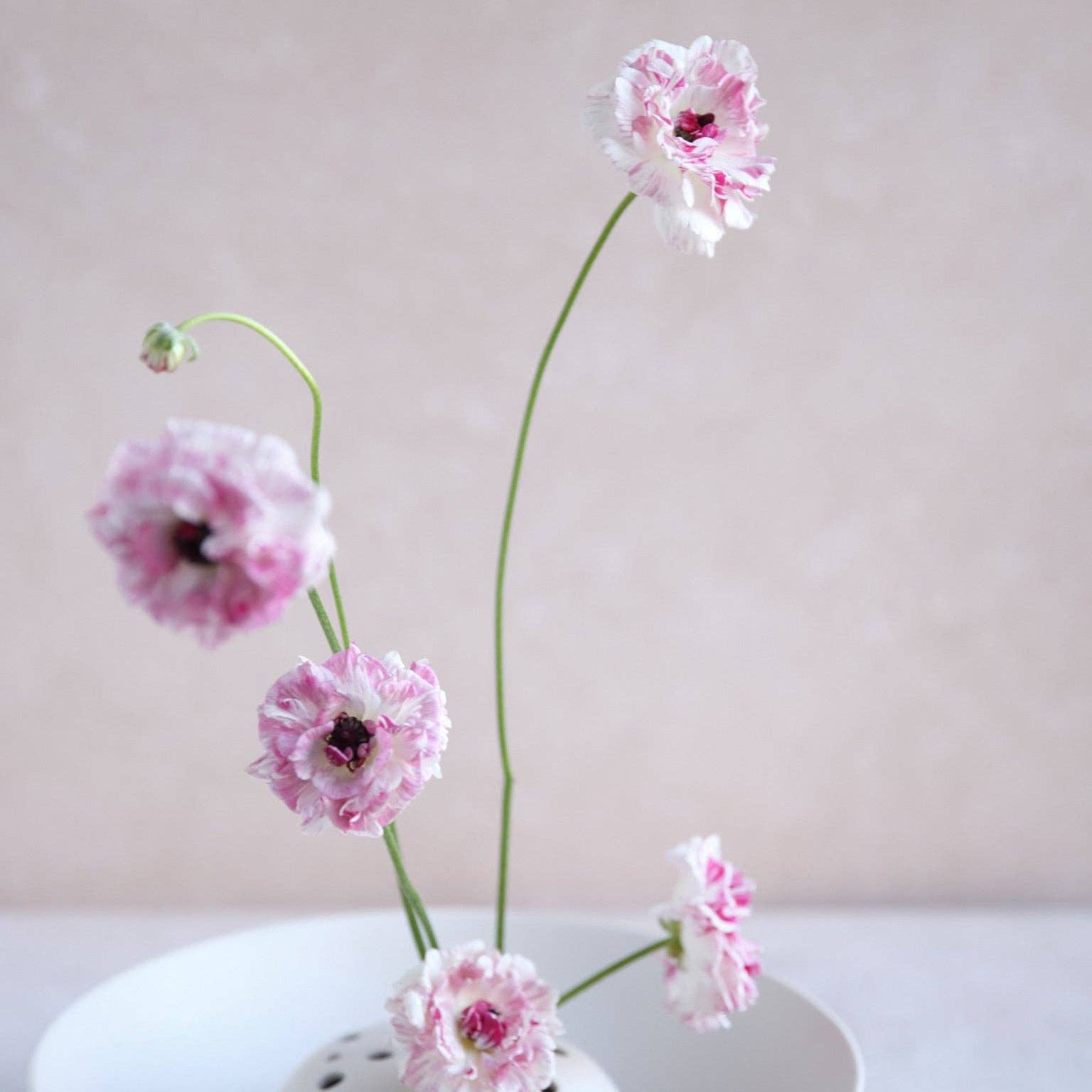 The Floral Society - Flower Frog Bowl Vase, Small