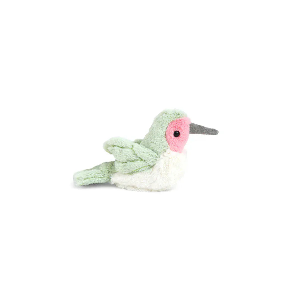 Hummingbird