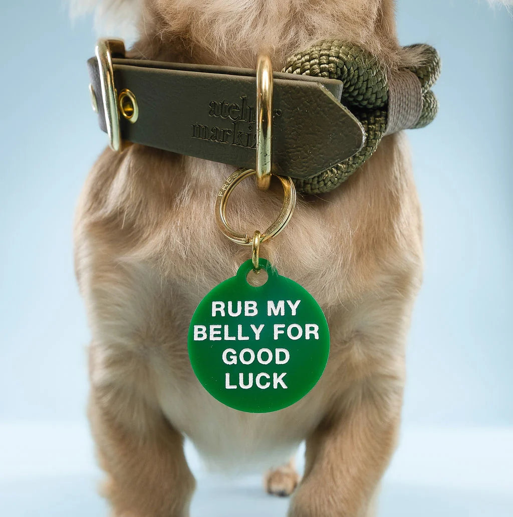 Rub My Belly Pet Tag