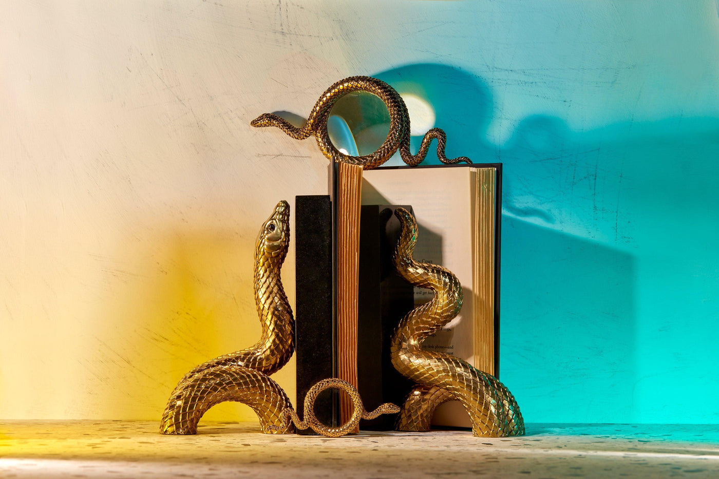 Snake Bookend Set