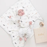Nesting Box Baby Take Home Set - Tiny Dogs