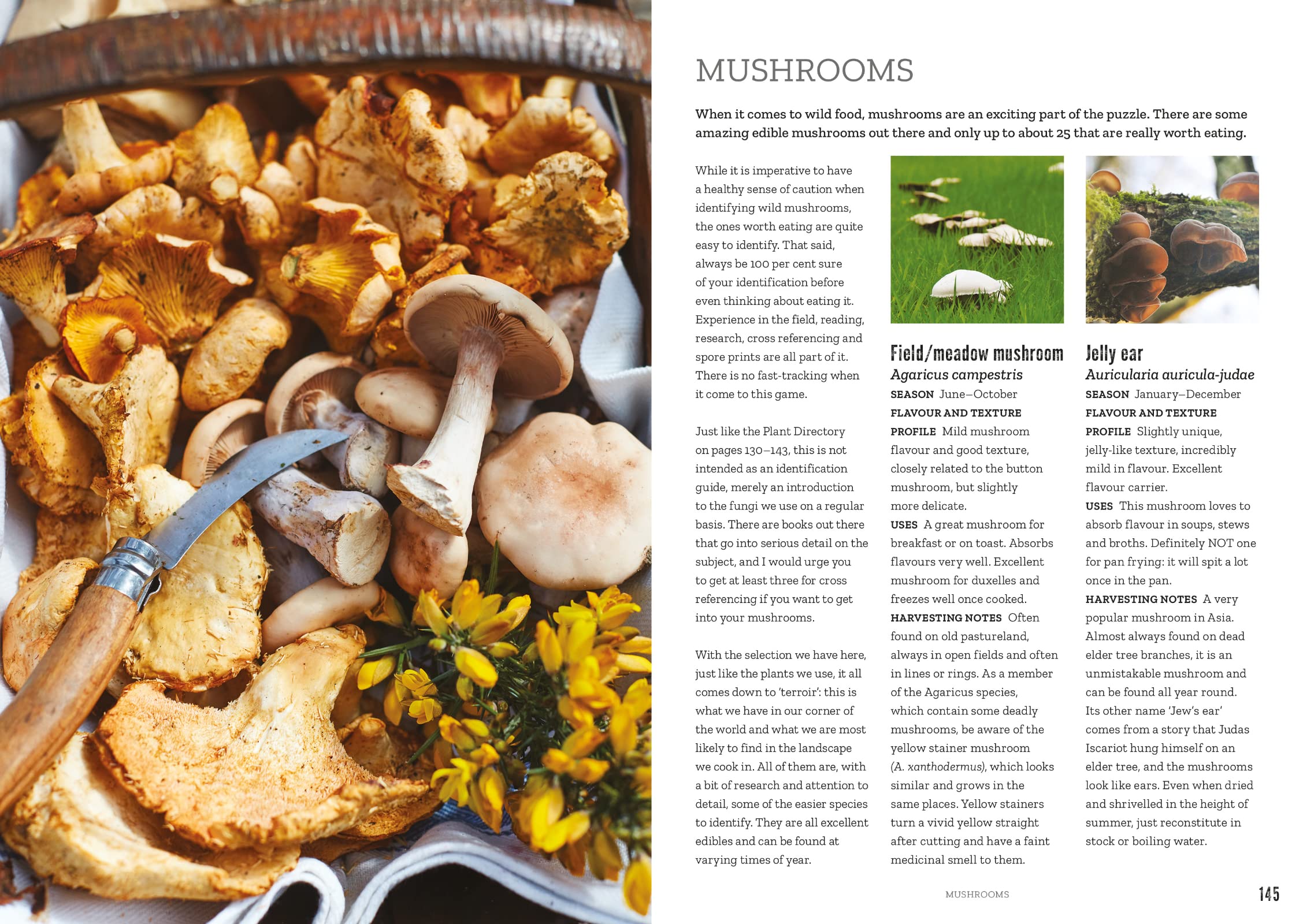 Hunter Gather Cook Handbook