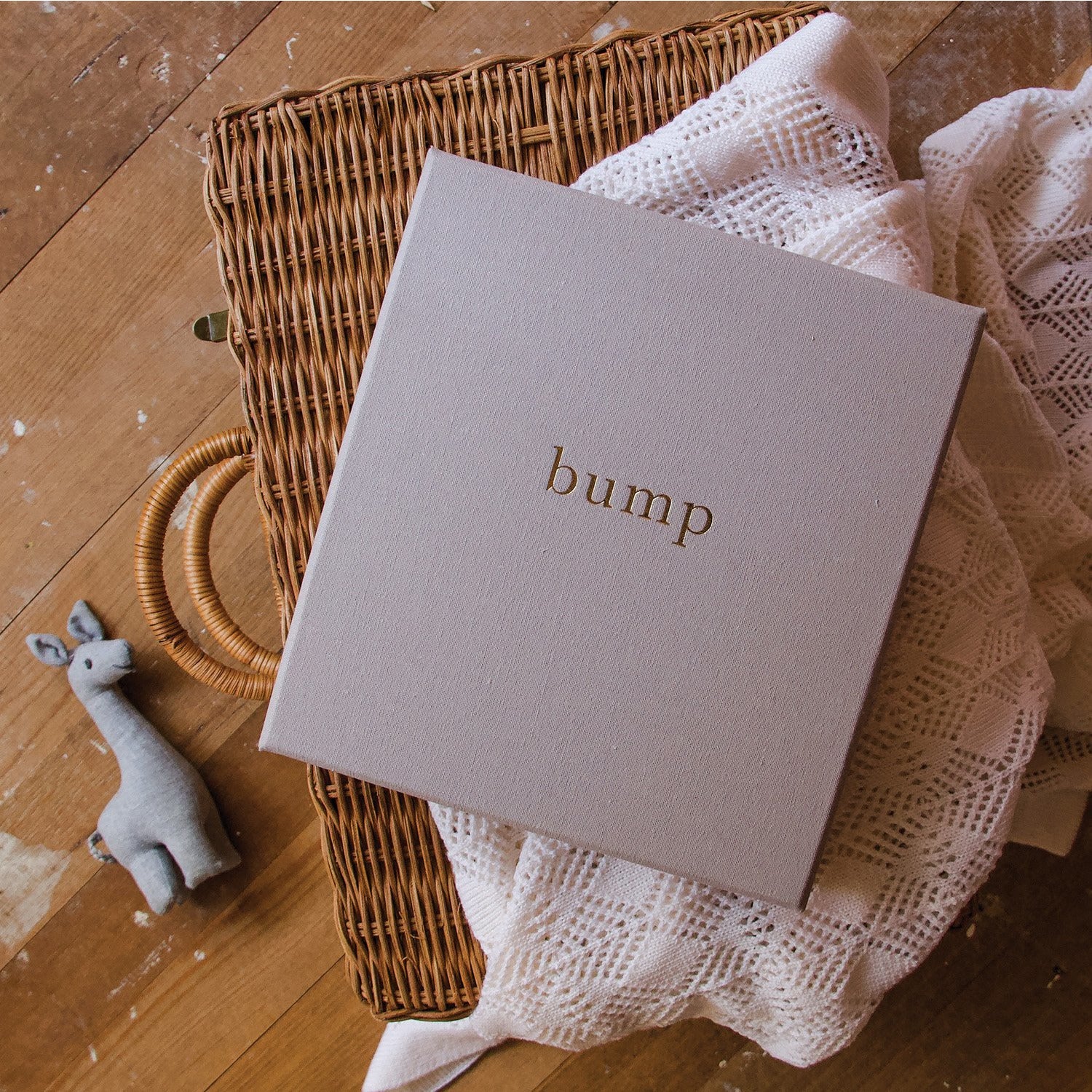 BUMP Pregnancy Journal