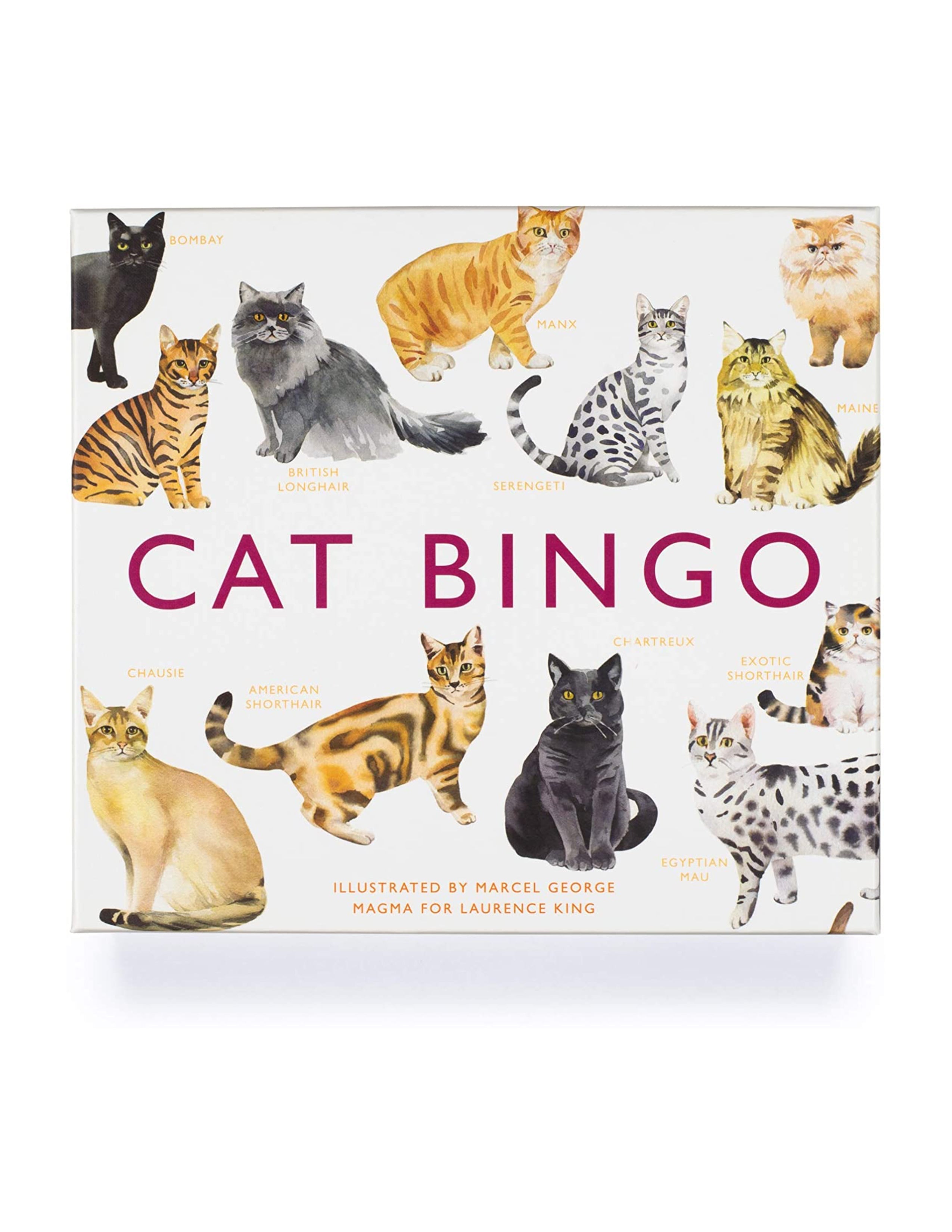 Cat Bingo